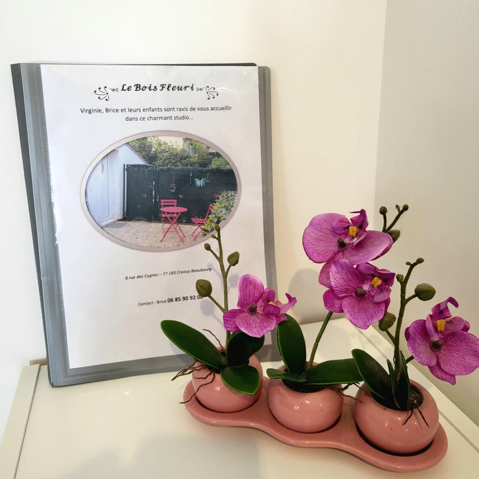 Maison Studio Le Bois Fleuri Croissy-Beaubourg Eksteriør bilde